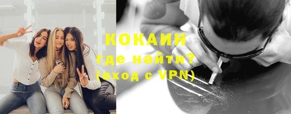 эйфоретик Богданович