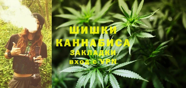 эйфоретик Богданович