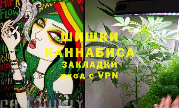 COCAINE Богородицк
