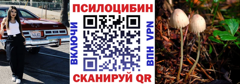 МЕГА как зайти  Нижний Тагил  Галлюциногенные грибы GOLDEN TEACHER  цены  